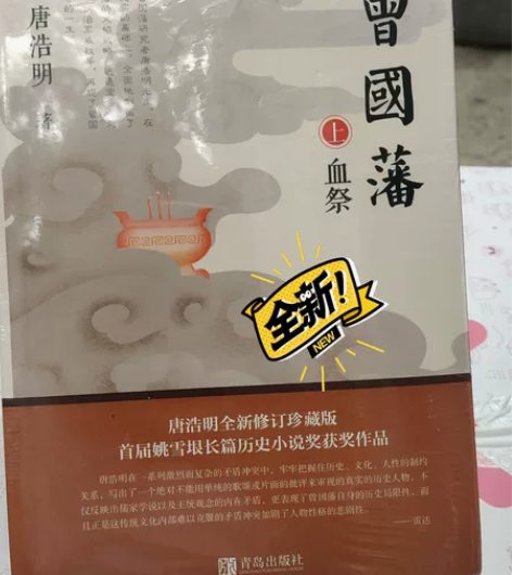 曾国藩，长篇历史小说，全新未拆封 感兴趣的...