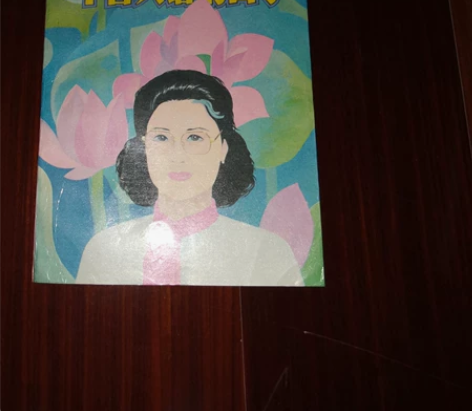 老书旧书 琼瑶 30默认邮费或到付