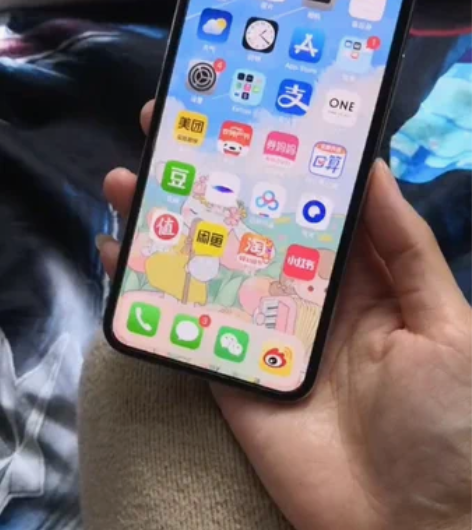 IphoneX 64G 2018官网购入 ...