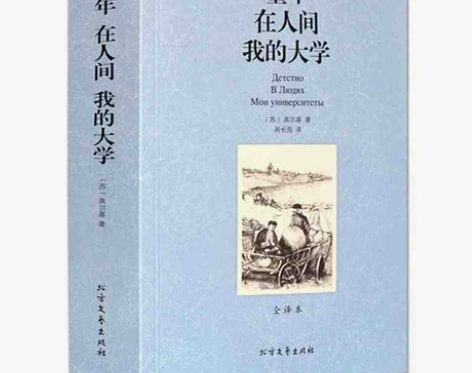 童年在人间我的大学  巴黎圣母院  飘 悲...