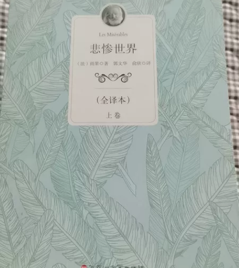 悲惨世界 雨果 全译本上下卷 纸张完好无破...