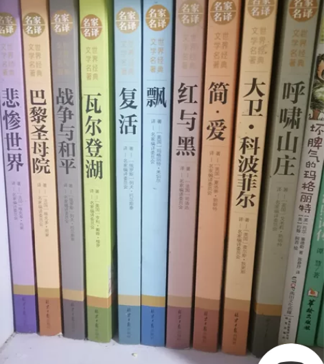 图书低价处理 世界名著 词集  文学书 漫...