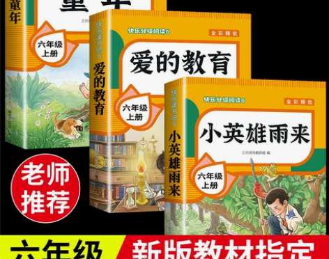 六年级上册课外书必读爱的教育 小英雄雨来 ...
