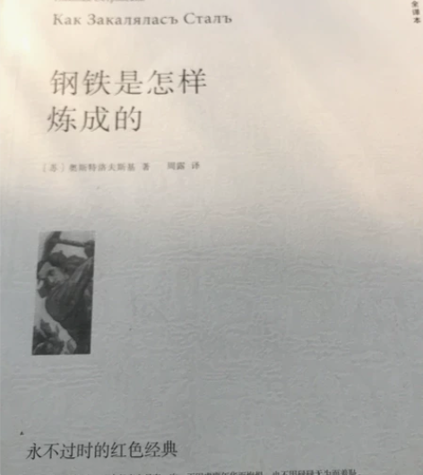 《钢铁是怎样炼成的》，初二必读书目 考完出...