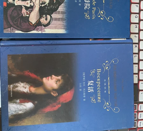 译林出版 巴黎圣母院 复活 新华书店入的 ...