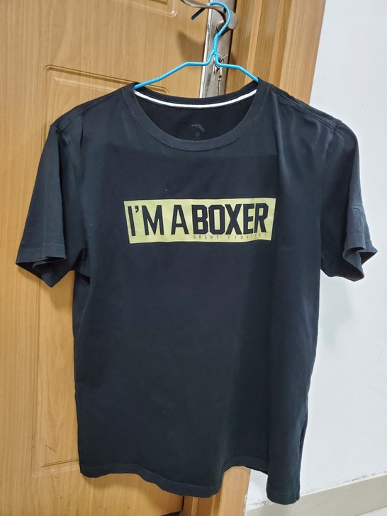 安踏 男士 衬衣 T恤 短袖上衣