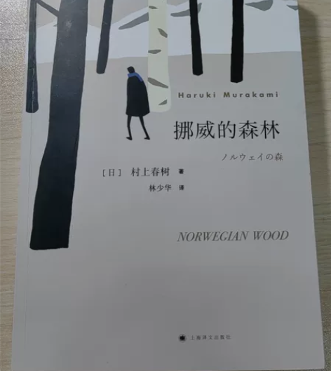 《挪威的森林》 上海译文出版社 九成新 江...