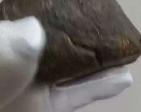 来自撒哈拉沙漠的NWA西北非石陨石，未分类...