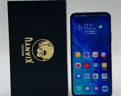 【捡漏】honor/荣耀 荣耀 9X PR...