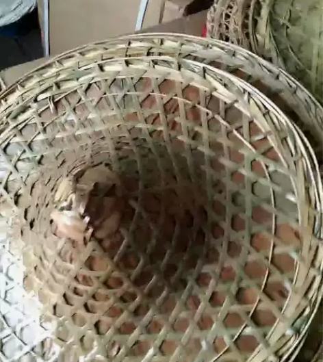 竹编斗笠 竹帽子红军斗笠 竹编草帽配帽圈帽...