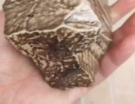 新疆老皮泥石,质地包浆好,825克,两面平...