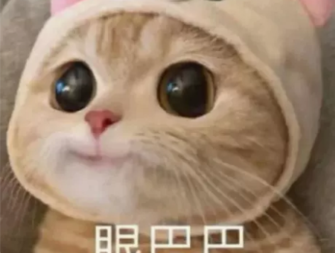 代码代写，跑程序，主c语言/c++/Jav...