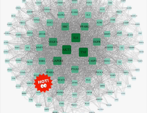 网络药理学##amp；amp；分子对接专业...