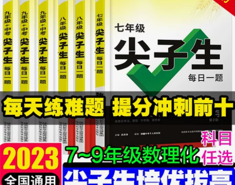 2023尖子生七八九年级数学物理化学专项训...