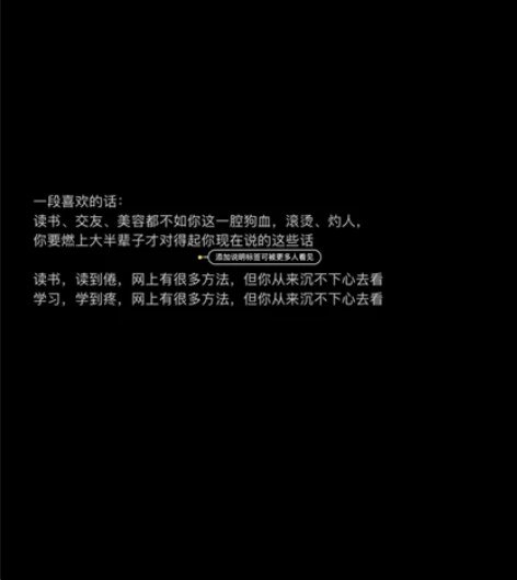 高中纯文科做题辅导 历史政治地理语文数学英...