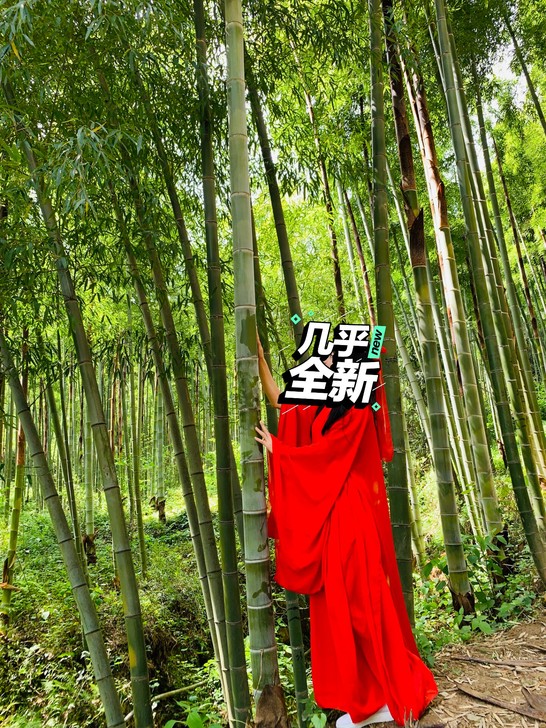 红色古装两件套