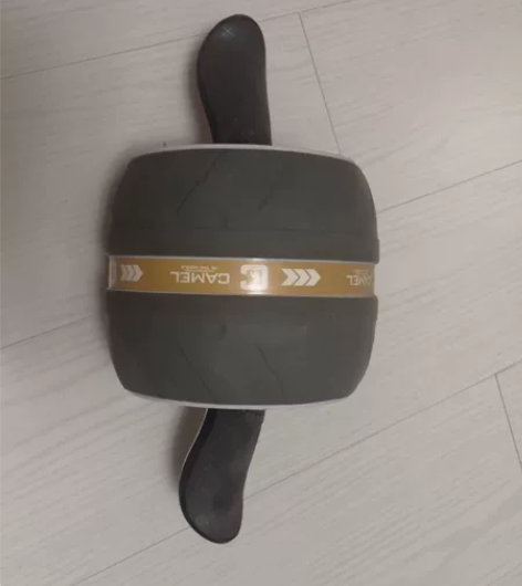 骆驼的健腹轮，买回来没用几次，搬家转让，可...