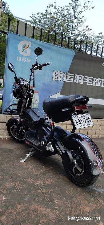 电动车，新日电动车，太子一号，比小牛更好的...