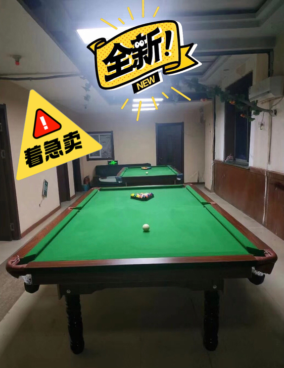 【全新球桌，低价急售】低价出成人休闲娱乐台...