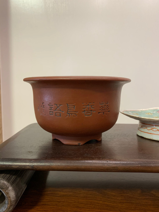 石雨菖蒲盆