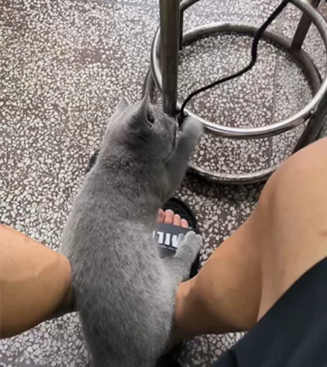 原装行货surface pro多功能扩展坞...