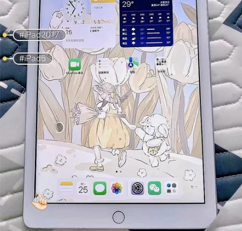 毕业女大学生转让自己用iPad5,功能都很...