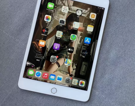 ipadmini5 2019款迷你5wif...