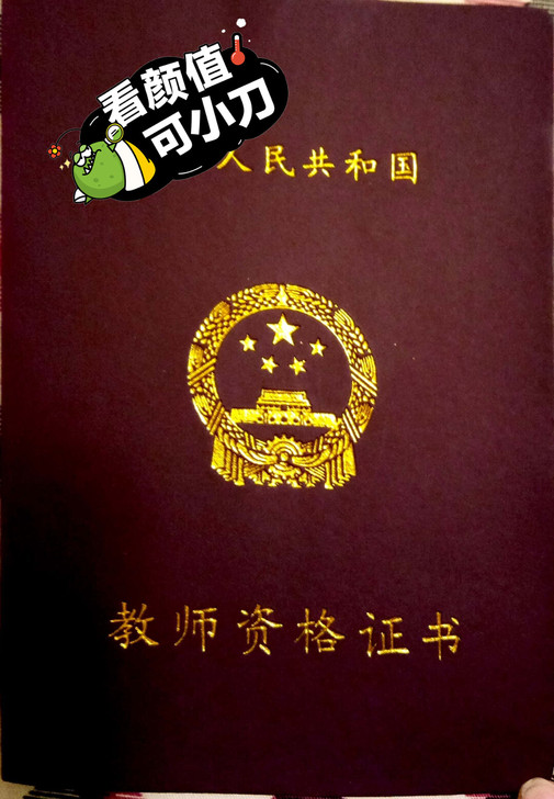 本人研究生三年级，明年毕业。学科英语专业，...