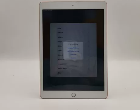 9成新苹果 iPad 2019（7代）  ...
