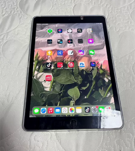 iPad7代2019 自用,无任何拆修,...