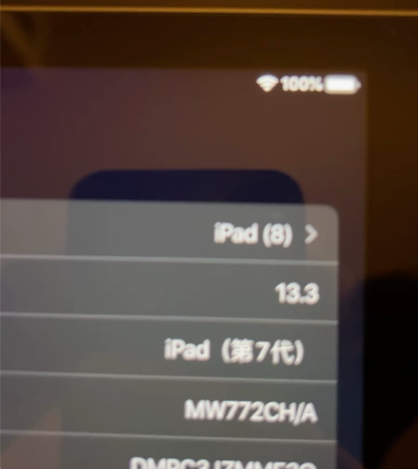 个人用13.3系统！iPad  2019第...