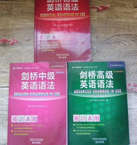 剑桥英语语法初中高级-英语在用 中文版 休...