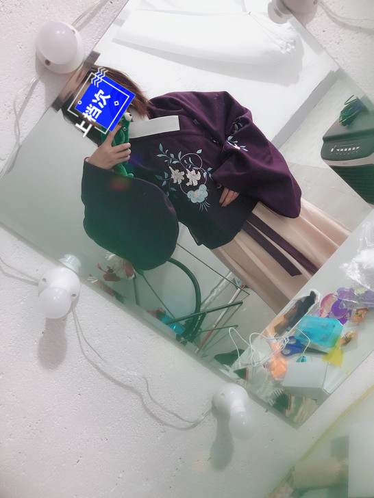 汉尚华莲花语眠汉服明制绣花交领袄裙琵琶袖