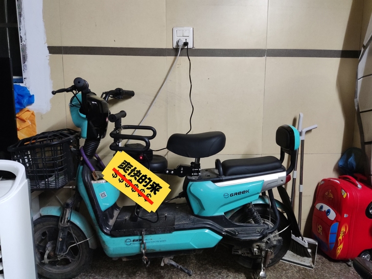 格林豪泰电动车   48V20安