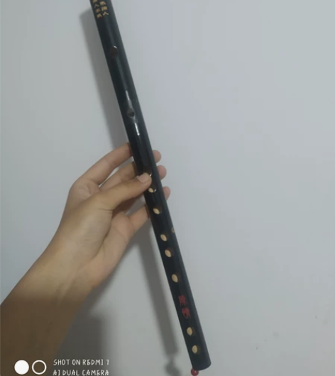 笛子，就是笛膜破了。 感兴趣的话点“我想要...