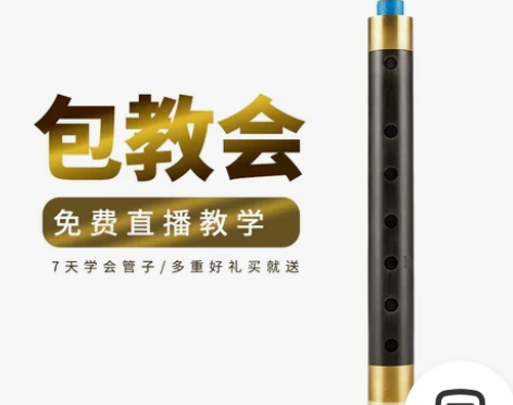 新艺专业乌木管子乐器催泪管初学者成人专业演...