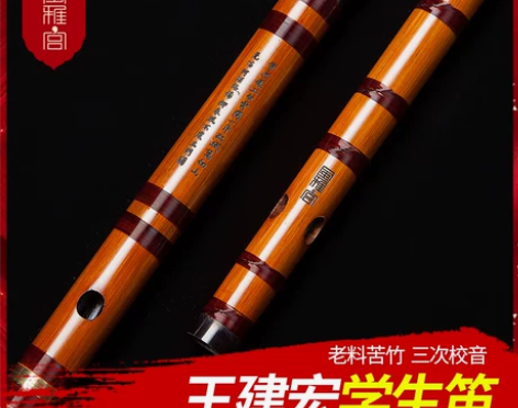 风雅宫王建宏学生笛子成人初学 零基础竹笛乐...