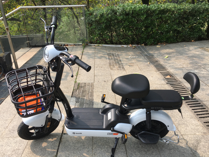 9新台铃电动车电瓶车电动自行车 电池充满电...