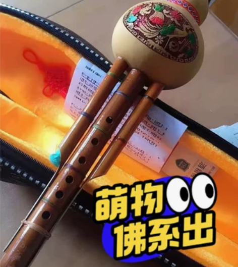 特价处理全新葫芦丝云南纯天然C调降B调凤尾...