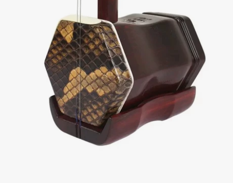 长沙二胡一对一教学 二胡特长生，西音十级 ...