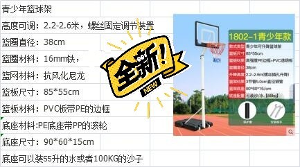 全新 青少年篮球架