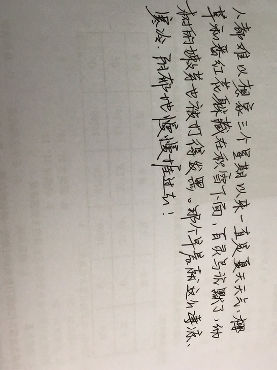 代抄，代写，摘抄都可，千字6元，字迹如图