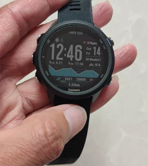 95新佳明245跑步手表，国行普通版，打官...