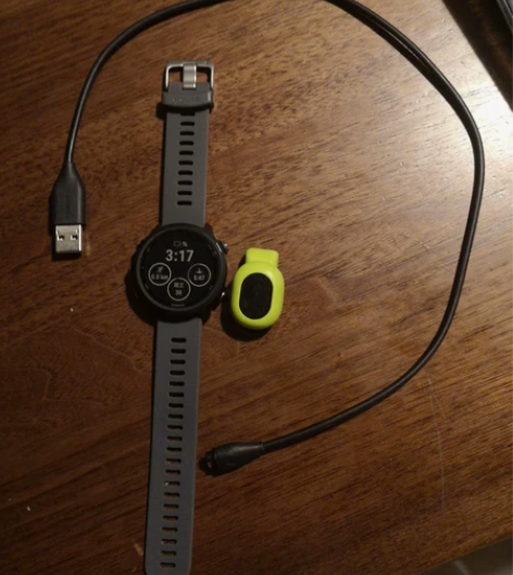 Garmin/佳明 forrunner24...