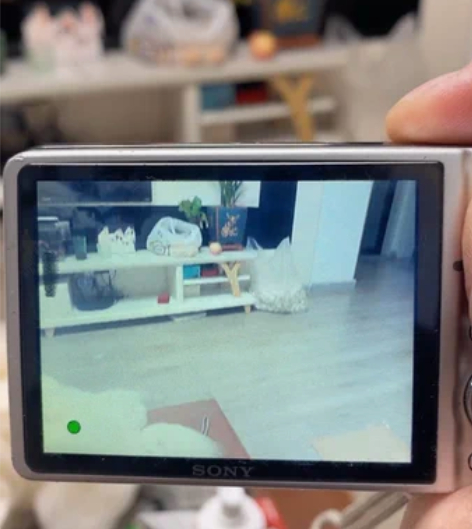 Sony/索尼 DSC-W290功能正常，...