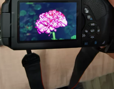 佳能（Canon） EOS 700D 单反...