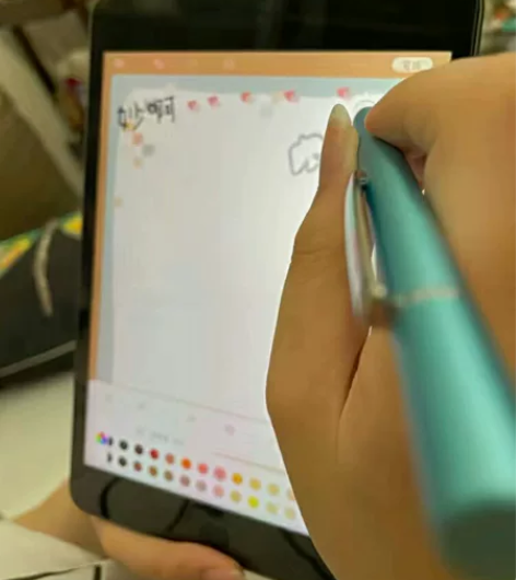 自家用iPad mini5苹果平板电脑 闲...