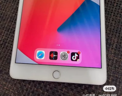 转手个人闲置iPad mini4，尺寸9....