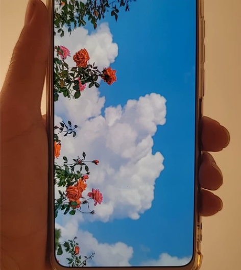 魅族16s Pro白色6+128,吃灰一年...