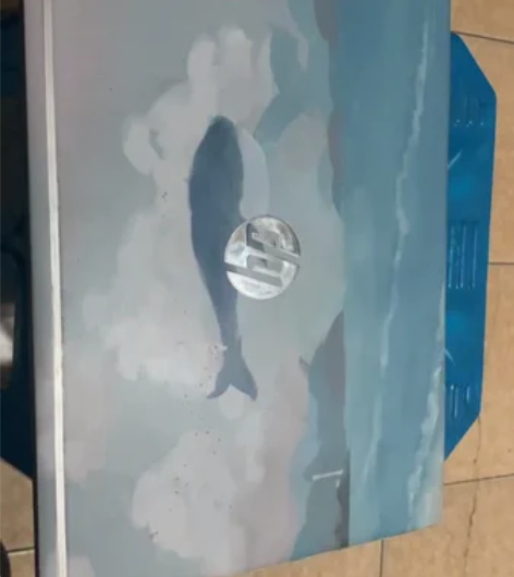 惠普笔记本 想购入朋友看看 个人一手 使用...